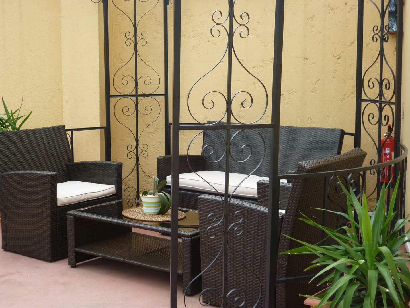 Jardin verdoyant de l'hôtel avec espace détente